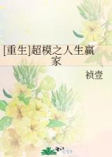 重生之海耶斯旋风 作者：赛车软件计划